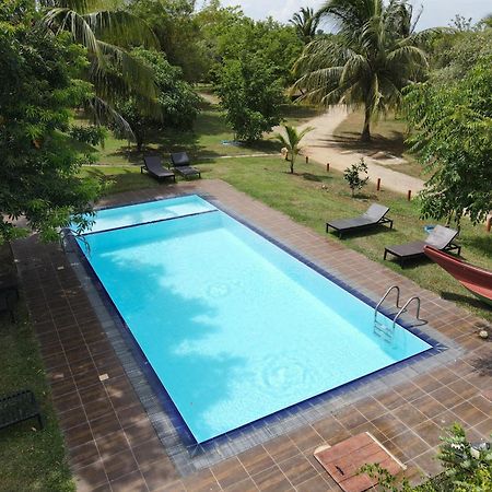 Yala Peace Cottages Tissamaharama Exterior photo