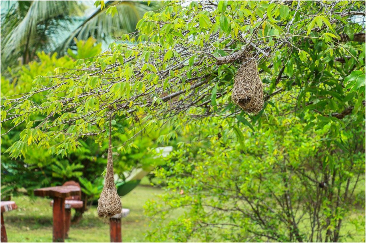 Yala Peace Cottages Tissamaharama Exterior photo